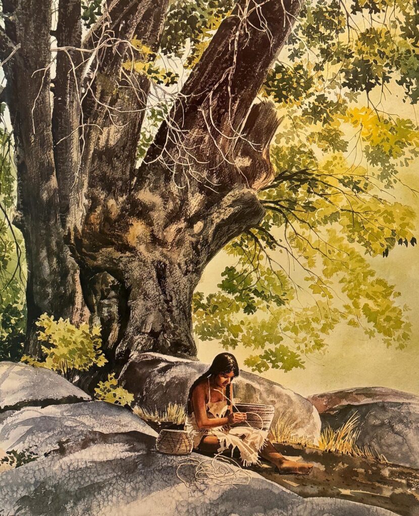 miwokindian