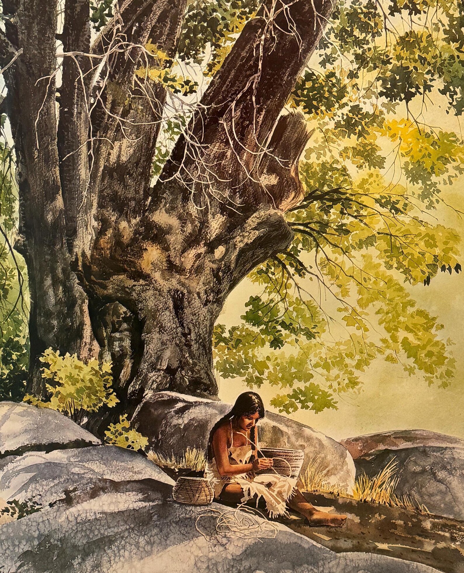 miwokindian
