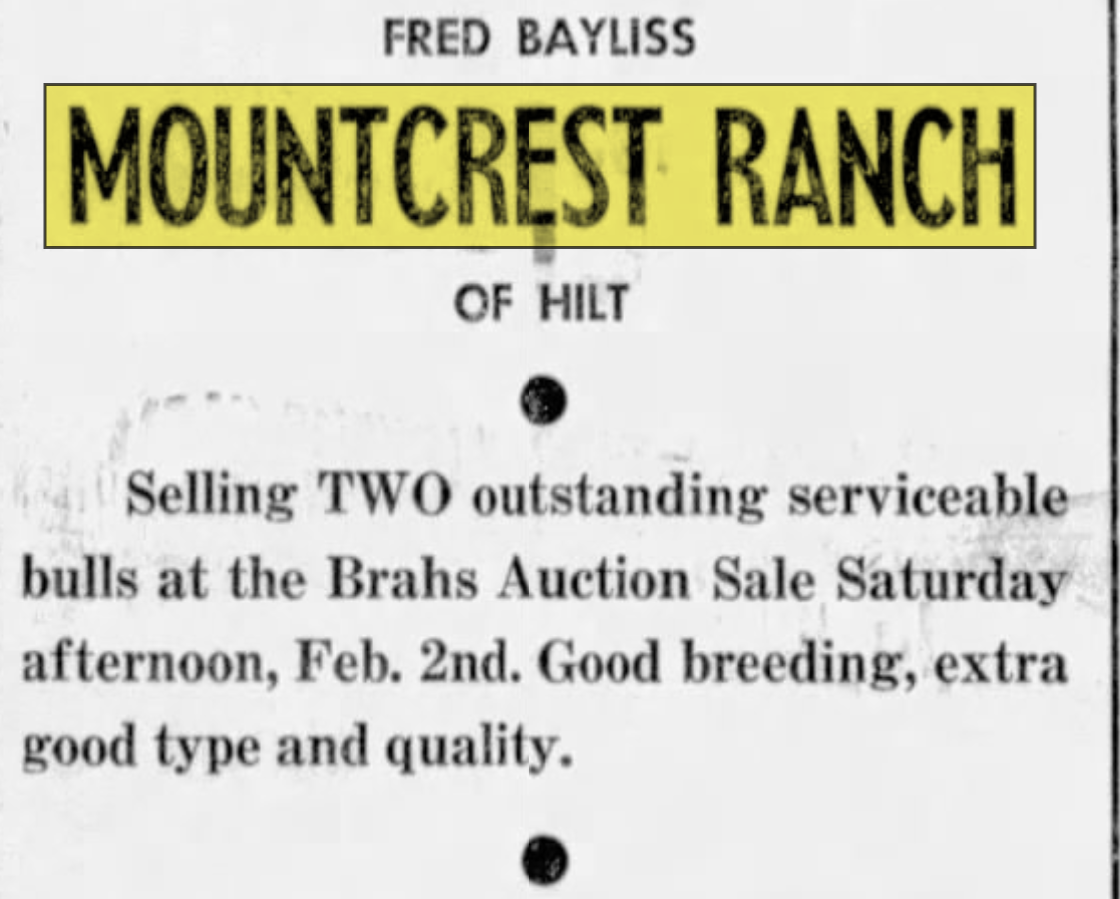 mountcrest2